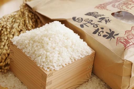 日本の主食のお米 米,白米,新米の写真素材