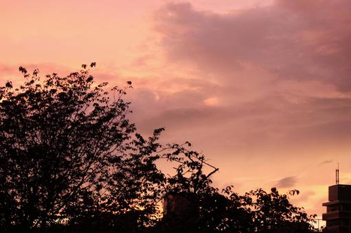 Photo, ein sonnenuntergang, sonnenuntergang, abend, 