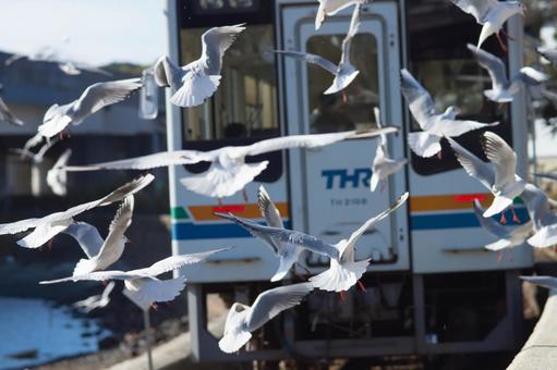 鳥と鉄道 鳥と鉄道 天竜浜名湖鉄道,浜名湖佐久米駅,鳥の写真素材