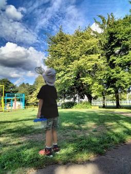 虫かごを持って虫取りをする男の子 虫かごを持って虫取りをする男の子の写真