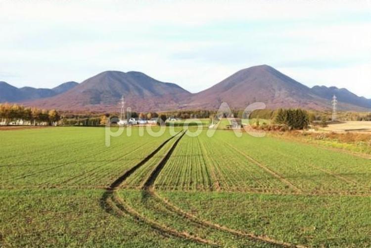 十勝地方の田園風景（北海道の秋） 田園地帯,北海道,山の写真素材