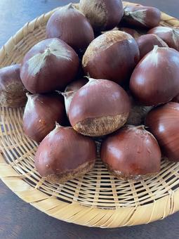 秋の味覚たっぷりざる盛りの栗_縦写真の写真