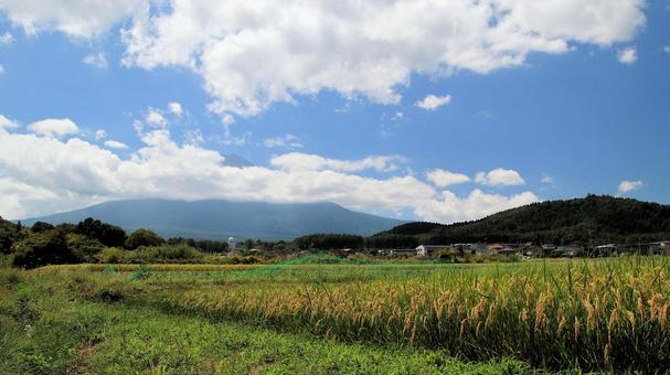 初秋の富士吉田市の田園風景 初秋の富士吉田市の田園風景の写真