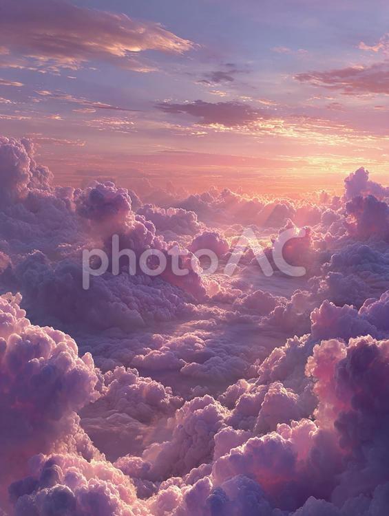 穏やかな光に包まれた柔らかな雲の絨毯 空,雲,夕焼けの写真素材
