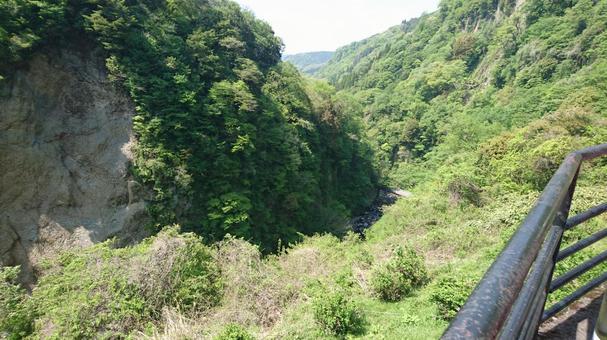 山の中 山の中の写真