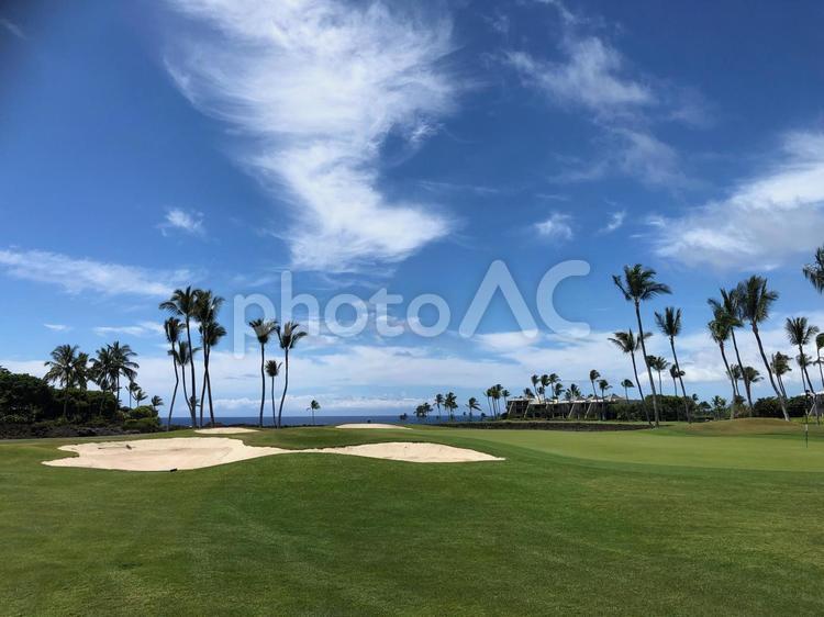 青空とハワイのゴルフ場 ゴルフ,コース,青空の写真素材
