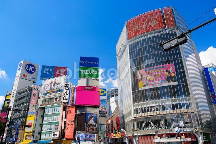 東京都渋谷区 渋谷スクランブル交差点 渋谷,渋谷スクランブル交差点,スクランブル交差点の写真素材