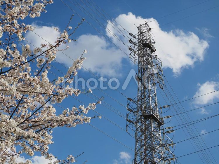 鉄塔がある風景 鉄塔,送電線,電線の写真素材