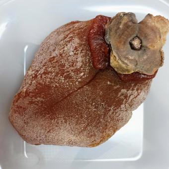 干し柿 干し柿 干し柿,柿,渋柿の写真素材