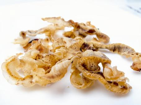 帆立 貝ヒモ 帆立みみ 珍味 ホタテヒモ 帆立,貝ヒモ,帆立みみの写真素材