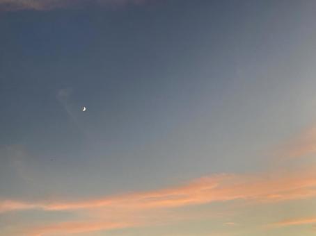 夕空 夕空の写真