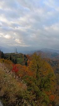 魚沼スカイラインの紅葉 紅葉,山,樹の写真素材