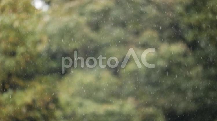 小雨の風景 ぽつぽつ,テクスチャ,パターンの写真素材