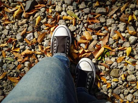 落ち葉の砂利道 スニーカー,砂利道,落ち葉の写真素材