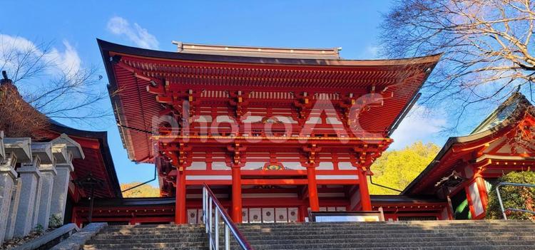風景　滋賀　近江神宮 風景,建物,滋賀の写真素材