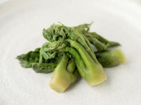 たらの芽の写真素材｜写真素材なら「写真AC」無料（フリー