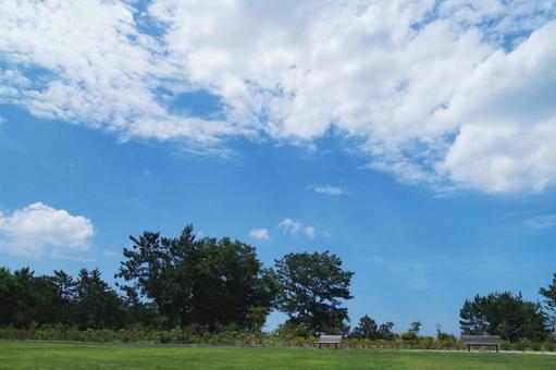青空の公園 青空の公園の写真