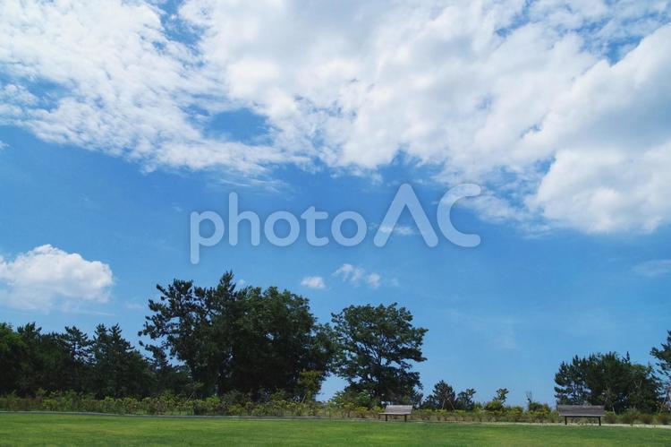 青空の公園 余白,スペース,素材の写真素材