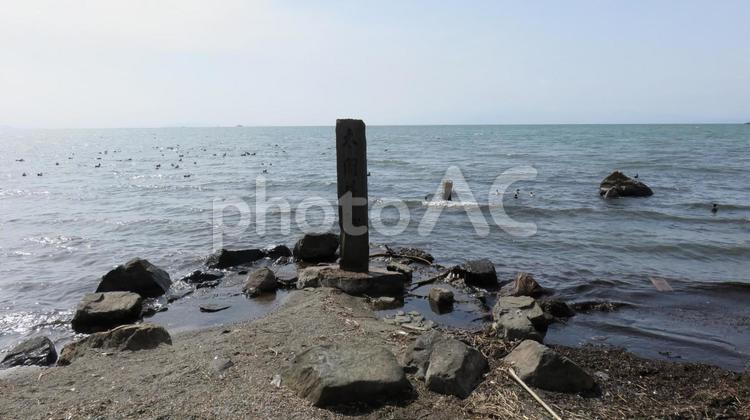 長浜城　太閤井戸跡の石碑 長浜城,豊臣秀吉,羽柴秀吉の写真素材