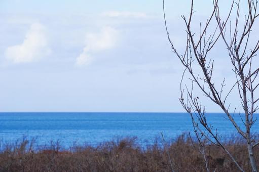 秋の海の写真