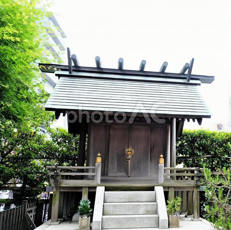 鰹木の数が偶数で女性の神を示している抜き弁天の祠 祠,女神,女性の神の写真素材