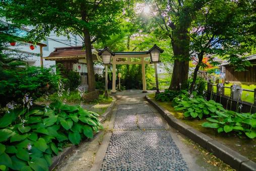 Photo, aomori, 2025, townscape, 