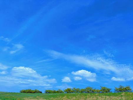 夏空 夏空 空,青空,雲の写真素材