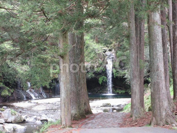 静岡県-陣馬の滝と遊歩道 陣馬の滝,滝,滝つぼの写真素材
