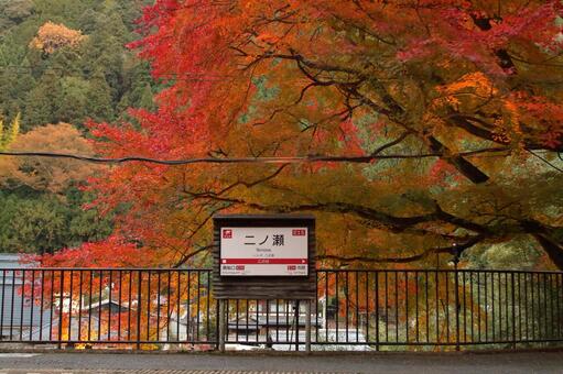 叡山電鉄鞍馬線、二ノ瀬駅の紅葉 叡山電鉄,鞍馬線,二ノ瀬駅の写真素材