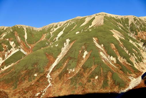 10年ぶりの紅葉当たり年 10年ぶりの紅葉当たり年 立山,室堂,紅葉の写真素材