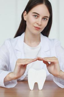 模型の歯を守る女性スタッフ　カメラ目線 歯科,医療,予防の写真素材