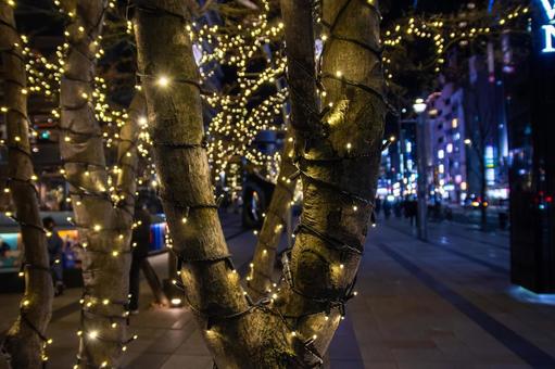 六本木のイルミネーション 六本木,イルミネーション,クリスマスの写真素材