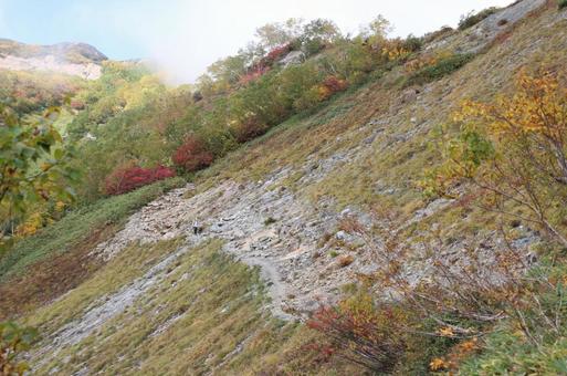 唐松岳に向かう登山道 登山,登山者,山登りの写真素材