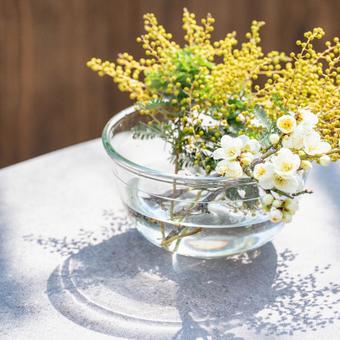 ミモザと白い花の器 ミモザと白い花の器 ミモザ,花,白の写真素材