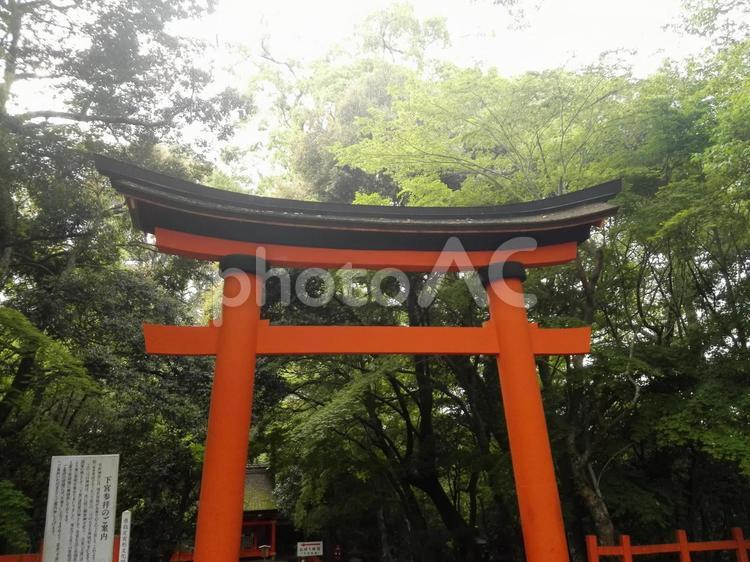 宇佐神宮 宇佐神宮,宇佐八幡,日本三大八幡宮の写真素材