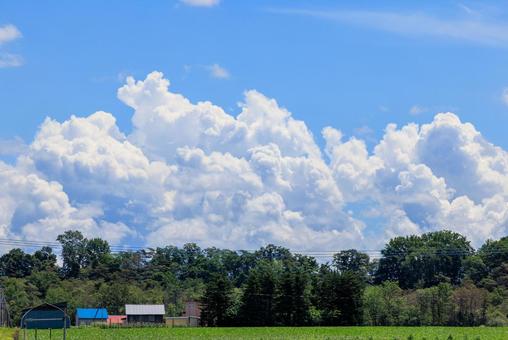 青空と雲 青空と雲 青空,雲,白い雲の写真素材