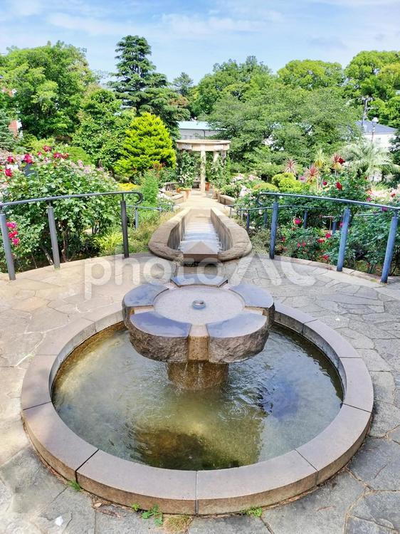 港の見える丘公園　上から見るカスケード 山手,港の見える丘公園,バラとカスケードの庭の写真素材