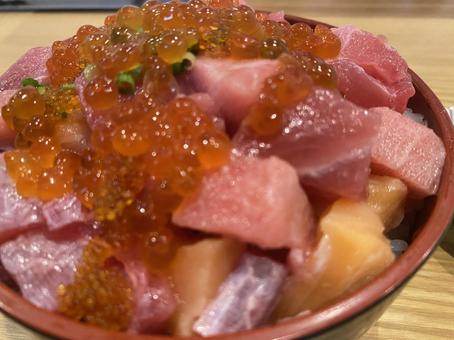 海鮮丼　北海道 海鮮丼,北海道,いくらの写真素材