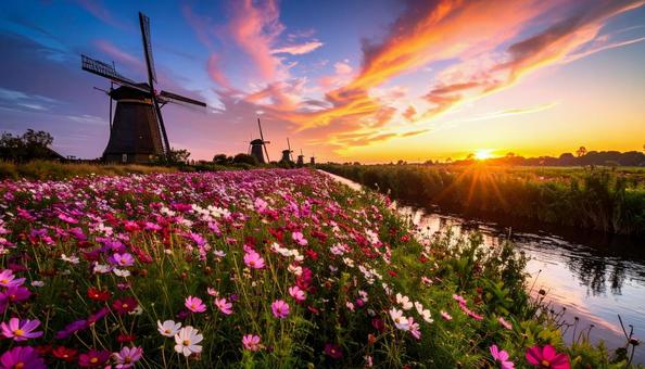 コスモスと風車の風景写真の写真