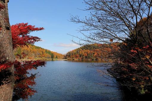 紅葉　長野県　聖湖 紅葉,湖,長野県の写真素材