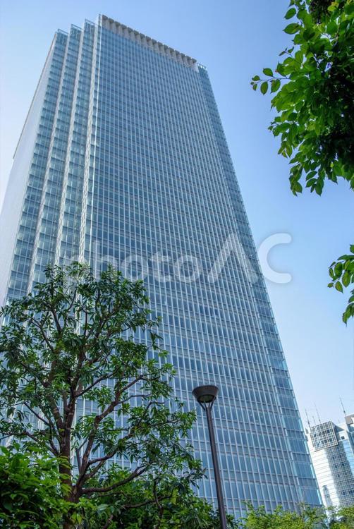 東京港区赤坂5丁目の緑とビル ビルディング,建物,散歩道の写真素材