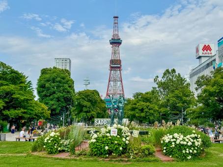 札幌 大通公園3丁目 札幌 大通公園3丁目 札幌,北海道,大通公園の写真素材