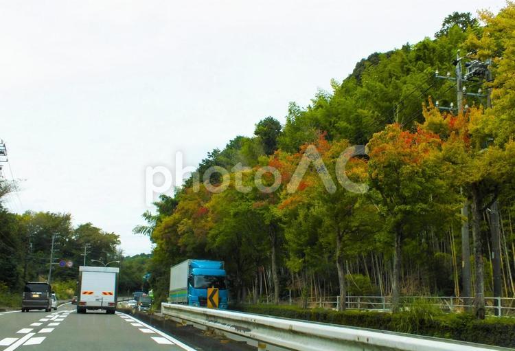 紅葉の始まった美しい道路　トラックが急ぐ 紅葉,トラック,道路の写真素材