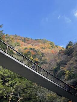 錦秋の渓谷 山,森,川の写真素材