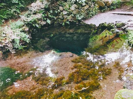 湧き水の池（底部） 湧水,泉,水底の写真素材