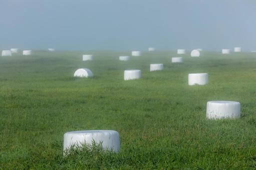 霧の中の牧草ロール 霧の中の牧草ロールの写真