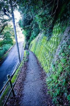 四国　愛媛県　下灘駅 下灘駅,四国,四国地方の写真素材