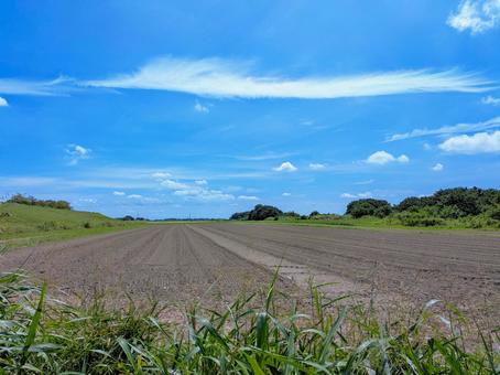 青空と畑 空,青空,雲の写真素材