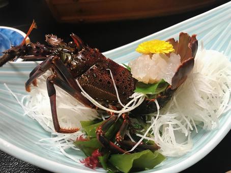 伊勢旅行で食べた伊勢海老の刺身 伊勢旅行で食べた伊勢海老の刺身 伊勢海老,刺身,旅館の写真素材