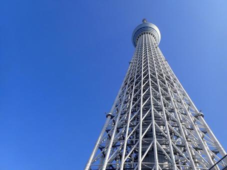 スカイツリーの写真